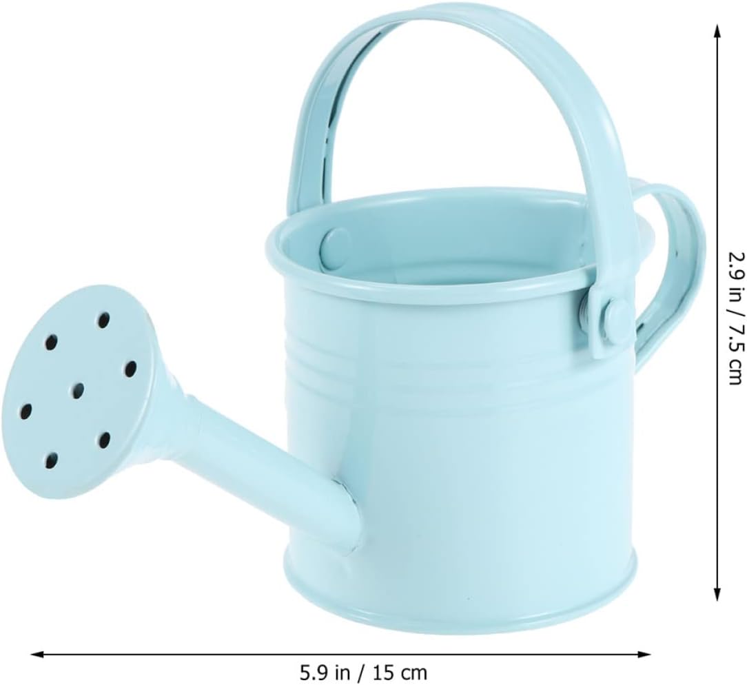 Watering can,2pcs Metal Watering Can, watering can for kids child watering can watering can 6pcs Kids Watering