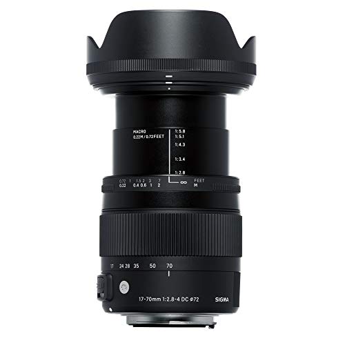 Sigma 14-24mm lens