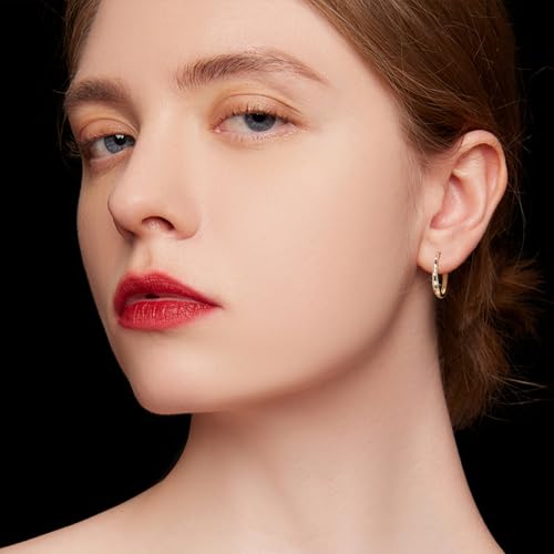 Elegant Hoop Earrings for Women Star Silver/Gold Plated Earrings Hypoallergenic Earring for Women Jewelry Gifts for Christmas,Valentine's Day,Anniversary2