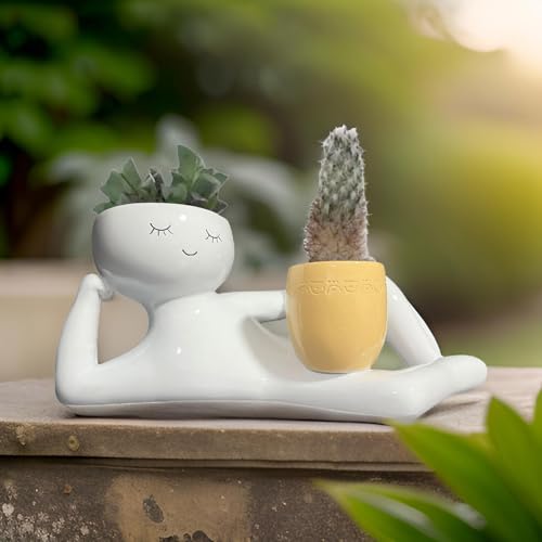 Succulentes artificielles en pot déco pour bureau et étagère - 7