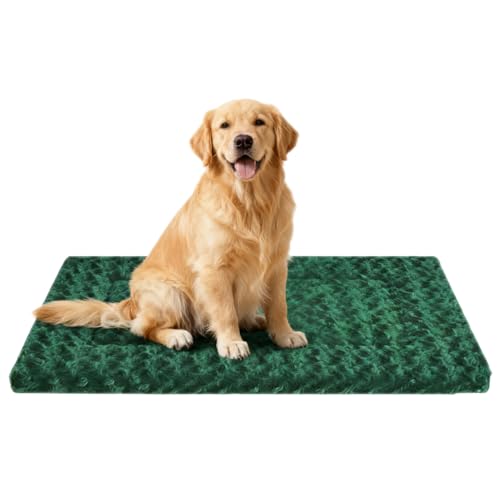 pN[gxbhpbh ? ^A^A^p̃o[Vut[X}bg?P[Wƌp̃\tgŐ\Ȋ~ߌpxbh}bg ? Kőϋv̂錢pX[sOpbhAO[AL