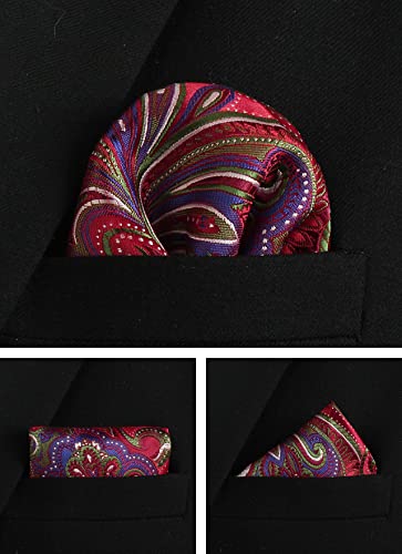 Image of Paisley Floral Mens Tie Formal Necktie Pocket Squares Ties Clips Cufflinks Classic for Men Set