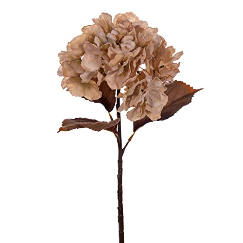 Vickerman 18.5" Cream Artificial Dried Hydrangea Spray, 2 per Bag.