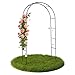 Bituxx Rosenbogen Metall Rankbogen Gartenbogen Torbogen Rundbogen Rankhilfe Garten Rankgitter 240cm
