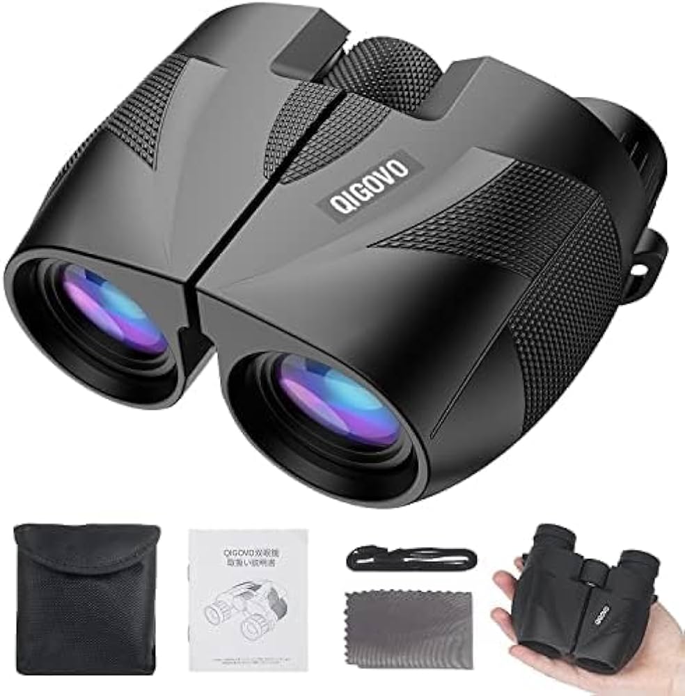 CARLZEISS 10倍双眼鏡（通称:ファラオ）星空レビュー （Amazon 