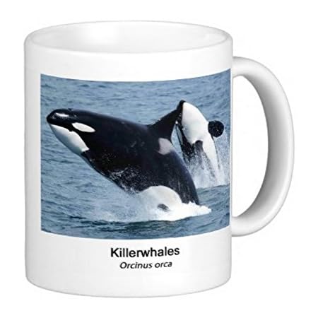 Amazon Co Jp シャチのマグカップ フォトマグ 世界の野生動物シリーズ ホーム キッチン