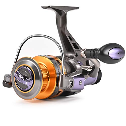 FISHARE Spinning Fishing Reels with Front & Rear Double Drag Brake System for Left or Right Hand, Saltwater or Freshwater - Smooth Powerful - 40