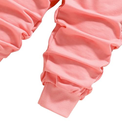 Image of Nivne Tco Toddler Girls Clothes Set - 2 Piece Cartoon Print Round Neck Sweatshirt & Sweatpants - Girls Spring Fall Outfits