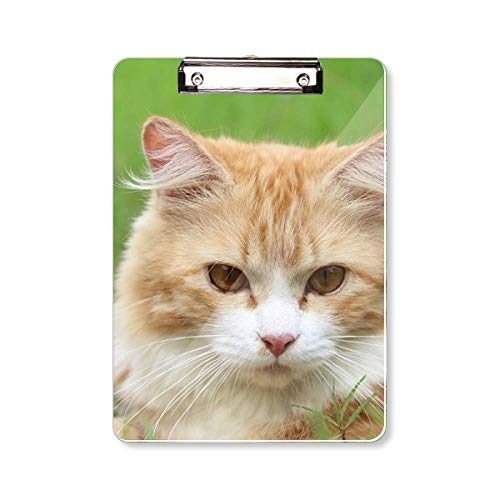 Bloc-notes pour animal domestique A4 avec grand lignage jaune bureau
