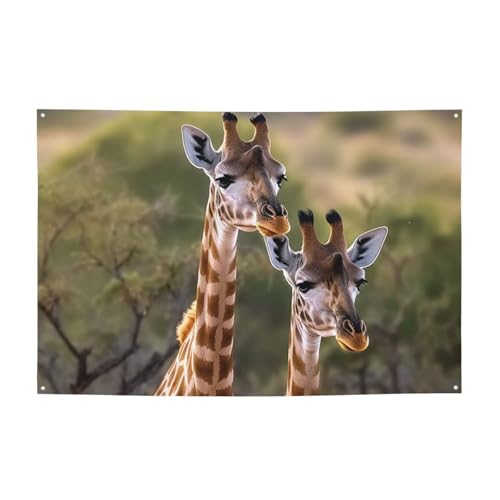 EFJoi[ p[eB[tbO ʐ^Bewi wioi[ L2 TC ʐ^ oi[ tFXp a K[fp[eB[pi LOi ǂ̑ 71 x 47C`