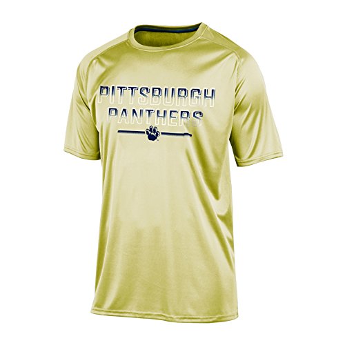 Champion NCAA pour Homme à Encolure Ras du Cou RA Tee, Homme, NCAA Men's Training 2 Short Sleeve Synthetic T-Shirt, doré, Grand