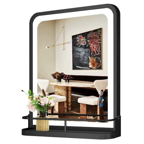 THEKLA 20 x 30 Inch Black LED Bathroom Mirror with Shelf Storage ...