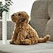Bearington Dog Stuffed Animal - Puppy Realistic Stuffed Animals - Plush Dog Toys for Kids Goldendoodle Labradoodle Plushies - Caramel 14 Inch