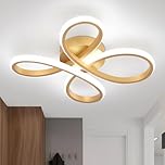 EIDISUNY Modern LED Ceiling Light, 30W Gold LED Ceiling Light Fixture, Modern Lights for Living Room Bedroom Corridor Aisle Hallway Indoor Lamp - Cool White Light 6000K