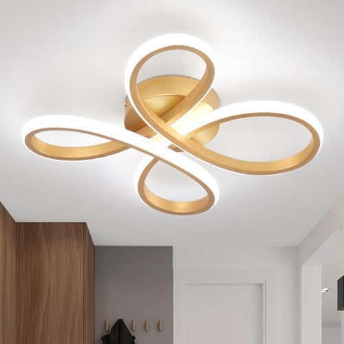 EIDISUNY Modern LED Ceiling Light, 30W Gold LED Ceiling Light Fixture, Modern Lights for Living Room Bedroom Corridor Aisle Hallway Indoor Lamp - Cool White Light 6000K