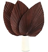 Large Dried Palm Leaves-17 Dried Palms Spear Plant Fans for Home Office Boho Decor | Tropical Wed...