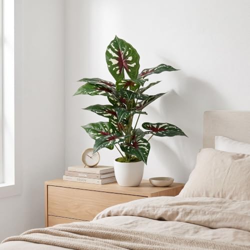 Image of Dekorly Artificial Caladium Plant Tree with White Pot 26 Inches | 66CM- Realistic Faux Leaf Plant for Home Decor, Bedroom, Living Room & Office (White Doted Caladium |Pack of One)