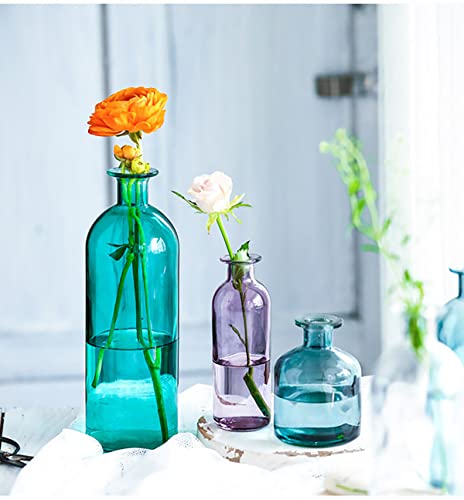 Bicuzat Smooth Face Clear Glass Vase For Flower, Bud Vase Hydroponic Planter For Home, Office, Room, Party-Purple-Long-S #TOP6