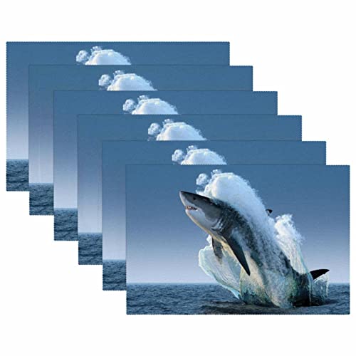 Set de table requin mer résistant à la chaleur lot 6 antidérapant - 6