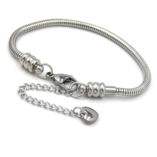 Stainless Steel Starter Charm Bracelet Fits Pandora Jewelry European Style Clasp Come with 2 Beads (Lobster Claw 6