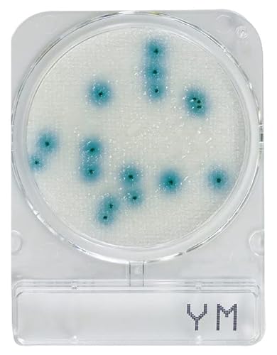 日水製薬 コンパクトドライ YM 240枚