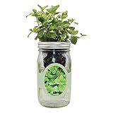 Environet Hydroponic Herb Growing Kit, Self-Watering Mason Jar Herb Garden Starter Kit Indoor, Grow Your Own Herbs from Seeds (Peppermint)