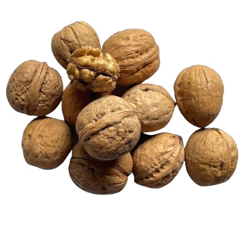 Image of Kashmiri Walnuts with Shell (1kg) | 100% Natural & Organic Akhrot | Rich in Omega-3 & Antioxidants | Perfect for Daily Consumption | Pampore Kashmiri Walnut in Shell 1 Kg