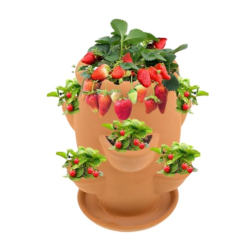 Wezalget Fioriera Per Fragole, Vaso Verticale In Terracotta Per Fragole Con 6 Tasche, Vaso In Terracotta Per Piante Grasse, Contenitore Decorativo Per Piante Da Giardino E Patio
