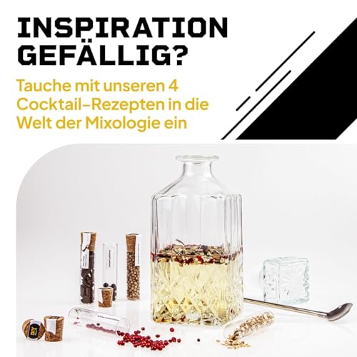 DIBYS Gin-Gewürze-Set Mini | 12 Gin Botanicals für Gin Tonic & Cocktail | Mit 4 Rezept-Karten, Gewürzlexikon & edler Holz-Kiste | Geschenk-Set für Männer & Frauen | Gin Zubehör zum Gin selber machen