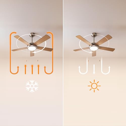 Cecotec Ventilateur de Plafond EnergySilence Aero 540. 60 W, Diamètre de 132 cm, 5 Pales Réversibles, 3 Vitesses, Fonction Hiver Noyer (Diamètre 132 cm)