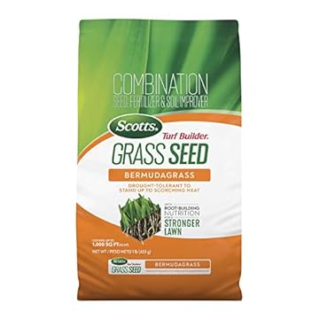 best grass for heat and drought