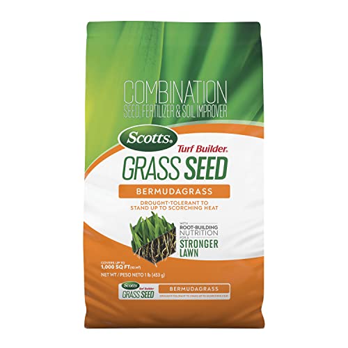 The 29 Best Bermuda Grass Seed of 2024 [Verified] Cherry Picks