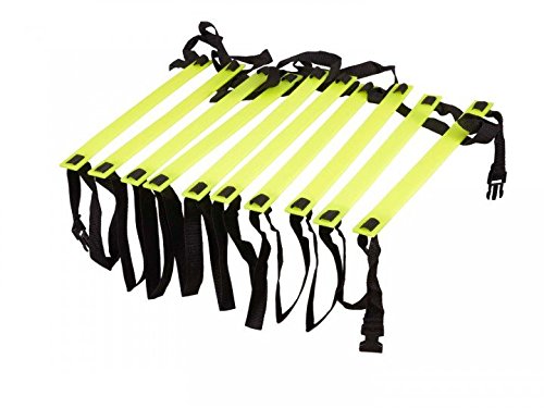 Échelle de coordination de 4 m, 6 m et 8 m avec sac de transport