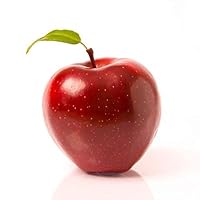 Guilt and forgiveness: How God can help you feel good about yourself 0801051258 Book Cover