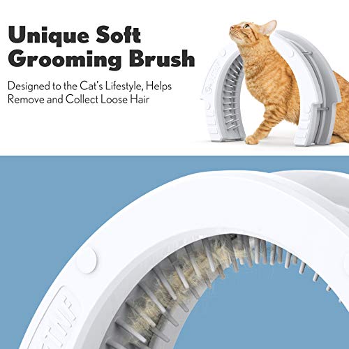 Lesotc Interior Cat Door Pet Door For Cats With A Removable Cleaning Grooming Brush Large Pet Cat Pass For Adult Cats Up To 35 Lbs Easy To Install Indoor Cat Door Detailed Instructions Plus Screws Caps thumb #1