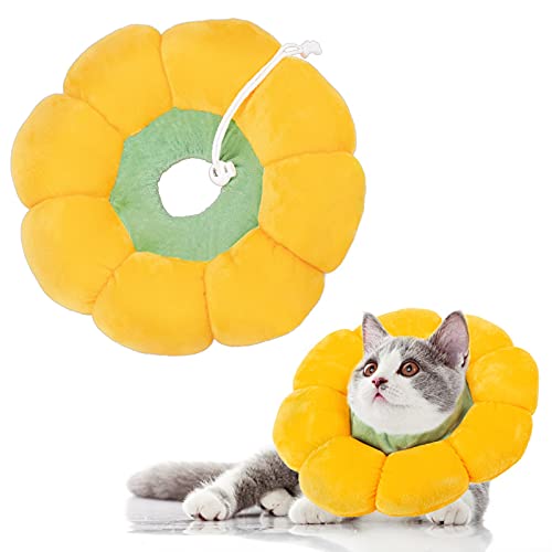 Collerette pour chat - Réglable - Pour chat - Petit après une opération - Protection douce contre les fuites