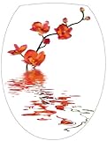 Décliné en plusieurs modèles pour mieux correspondre à vos goûts esthétiques, le stickers WC qu'il vous est possible de découvrir apportera une plus-value visuelle incontestable à votre intérieur.