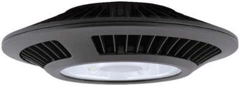 RAB CLED52 - 52 Watt - LED - Ceiling Light Fixture - 175W MH Equal - 5000K Stark White - 120/208/240/277 Volt - Bronze Finish