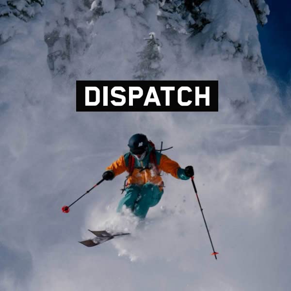 Amazon | K2(ケーツー) K2 フリースタイルスキー DISPATCH 110
