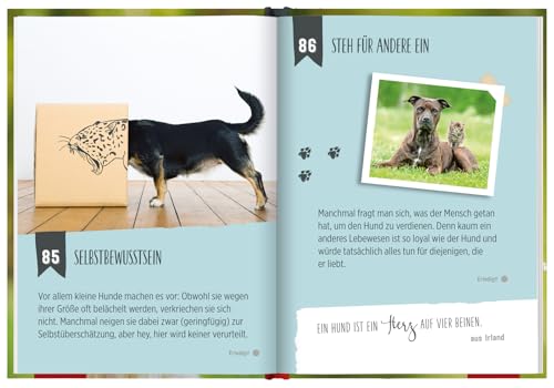 100 Dinge, die man von einem Hund lernen kann: Kleines Geschenkbuch mit einer schönen Botschaft an Hundefreunde (Geschenke für Hundeliebhaber)