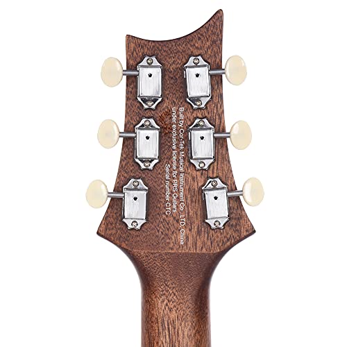 Prs Limited Edition Se P20E Parlor Antique White W/Fishman Gt1 #TOP6