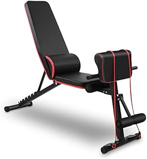 Adjustable Weight Bench Home Training Gym Weight Lifting Sit Up Ab Bench Flat Incline Decline Multiuse Exercise Workout Bench Abdominal and Back Fitness Chair with 7 Adjustable Levels
