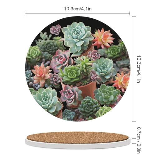 Dessous de verre absorbants en céramique liège plantes succulentes