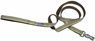 Coastal Pet K9 Explorer Reflective Dog Leash with Scissor Snap - Durable Nylon Leash - Leashes for Dogs & Puppies - Pet Supplies for Dogs - Fern, 1" x 6'