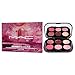 MAC Connect In Colour Eye Shadow Palette - Rose Lens for Women - 0.22 oz Eye Shadow