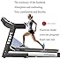 Fitness Club EléCtrico Caminadora,Rueda De Andar,Fitness Cinta De Correr Plegable De Alta-Velocidad,...