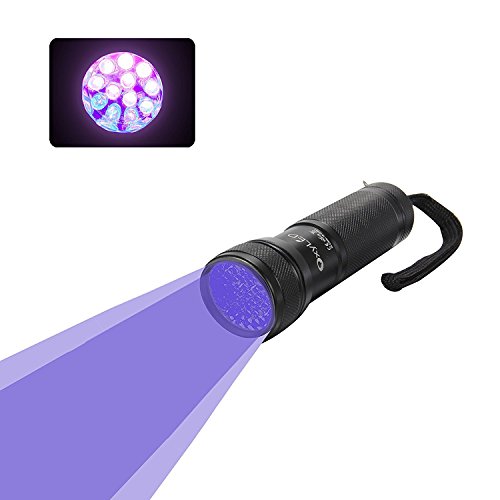 OxyLED OxyWild 12 Ultraviolet LED UV Light, Pet Urine Stain Detector Blacklight Flashlight (AAA Batteries Inclued)