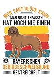  Bayerischer Gebirgsschweißhund Notizbuch: Bayerischer Gebirgsschweißhund Glück Bgs / 6X9 Zoll / 120 Linierte Seiten