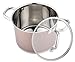 Imagen de VIER- OLLA INOXIDABLE 24CM diámetro * 18cm altura