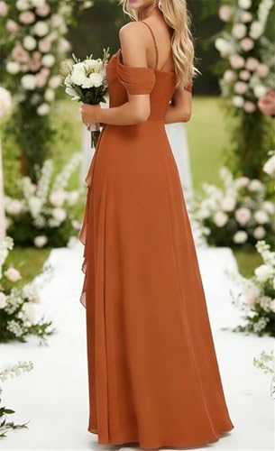 Robe de demoiselle d'honneur froncée en mousseline de soie haut de gamme DSJ114